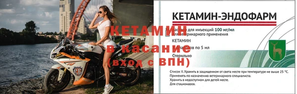 ГАЛЛЮЦИНОГЕННЫЕ ГРИБЫ Бородино