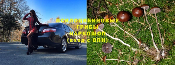 спиды Бугульма