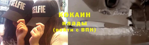 ГАЛЛЮЦИНОГЕННЫЕ ГРИБЫ Бородино