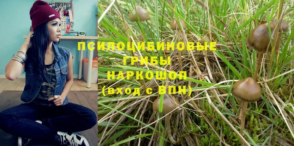 ГАЛЛЮЦИНОГЕННЫЕ ГРИБЫ Бородино