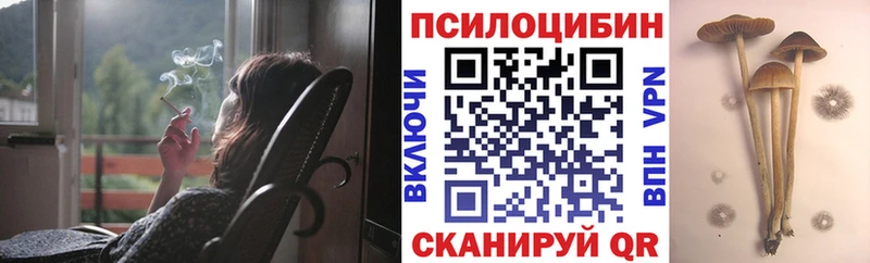 Галлюциногенные грибы Psilocybine cubensis  Дедовск 